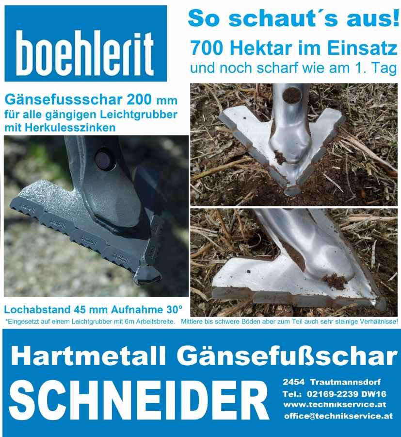 Boehlerit_Gaensefussschar